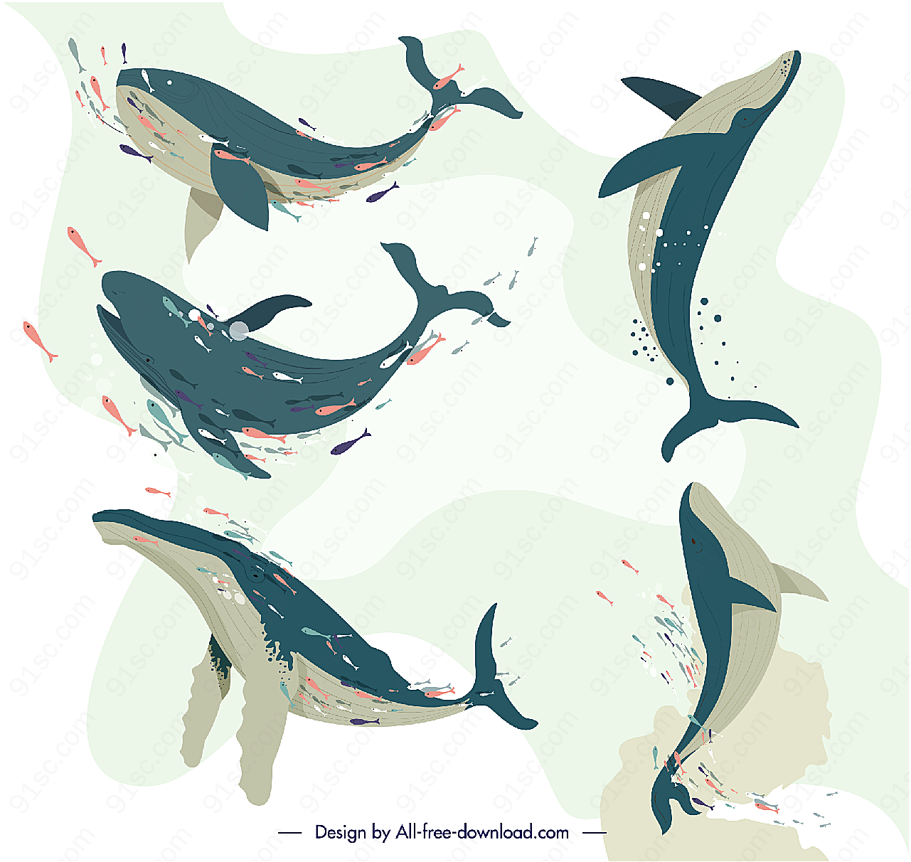 海洋鲸鱼设计矢量水中生物
