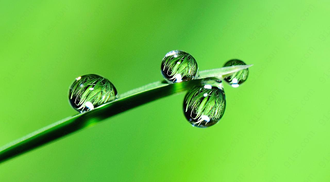 雨滴高清