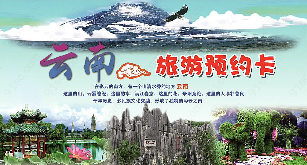 云南旅游预约卡2.单页宣传单
