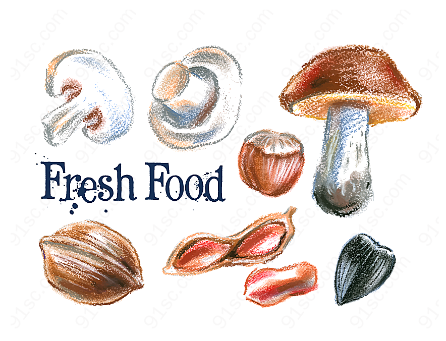 彩绘蘑菇和坚果矢量美食