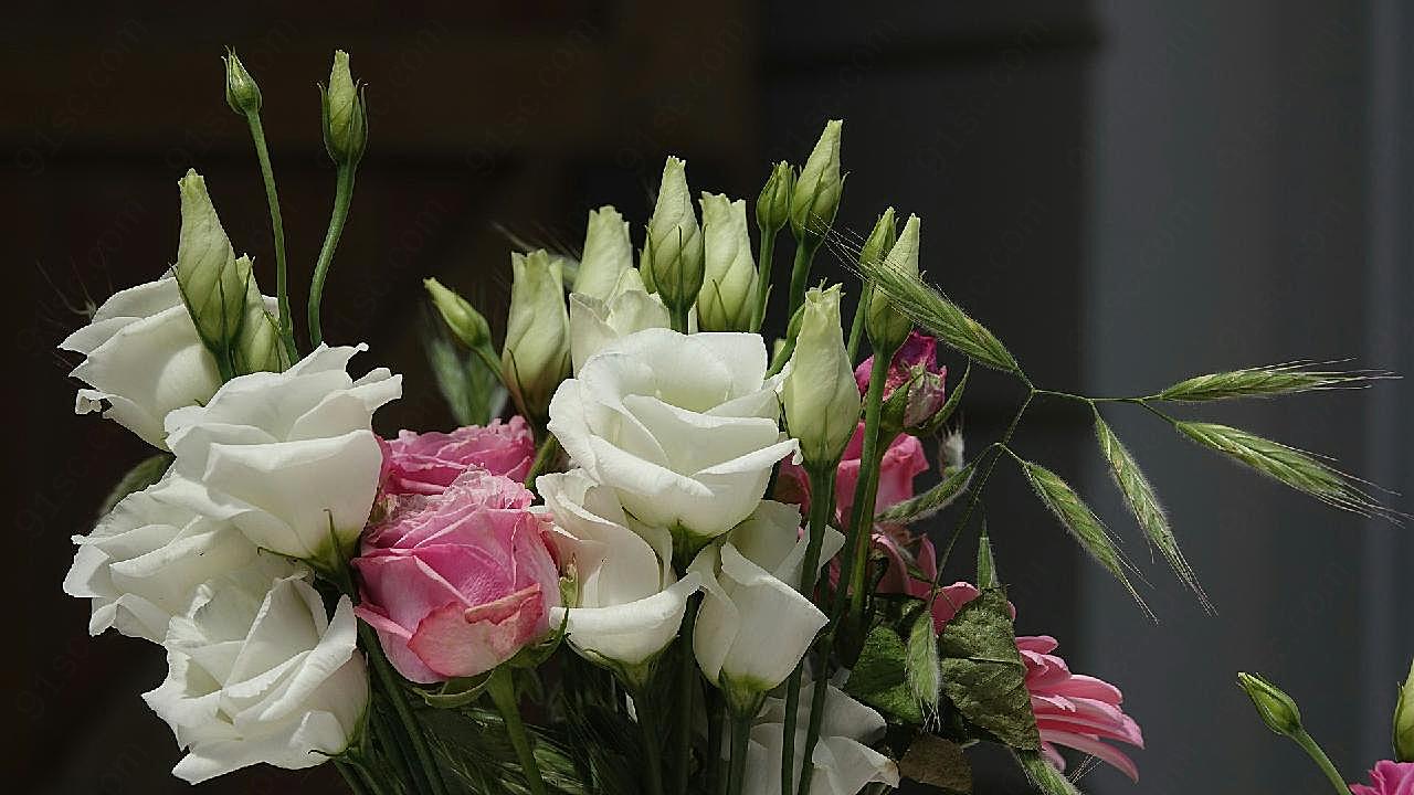 高清花束图片玫瑰花