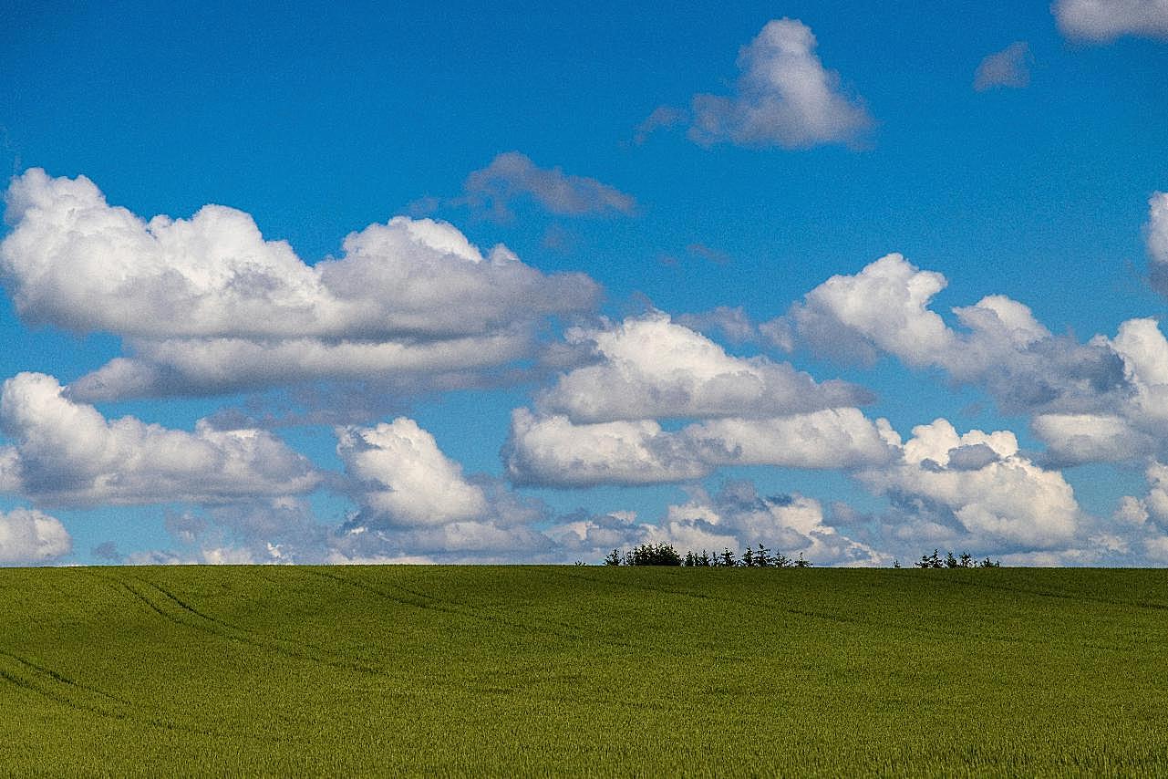 草原蓝天白云景观图片高清