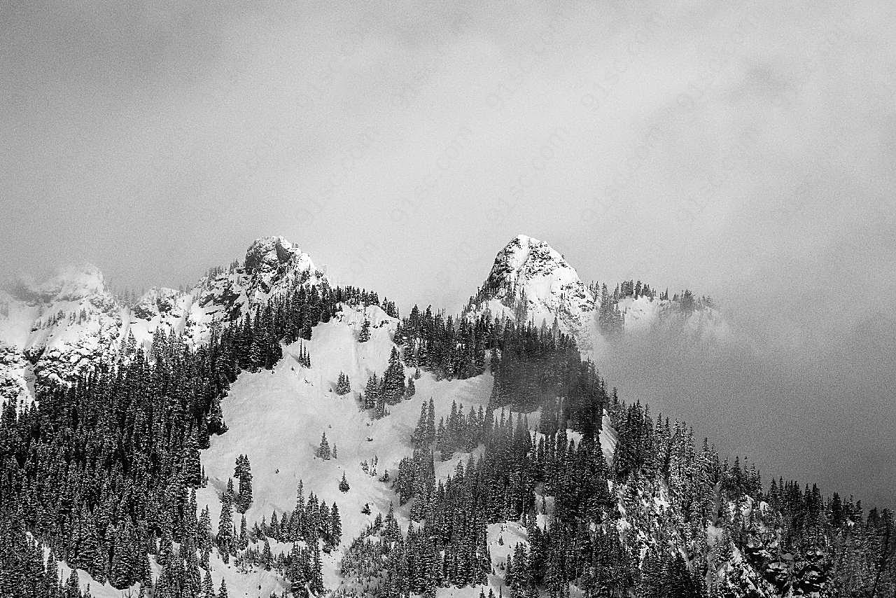 冬天高地雪山树木图片雪景