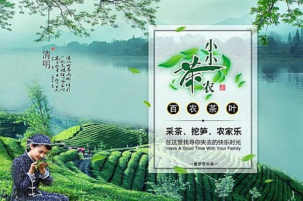 采茶农家乐psd海报设计广告海报