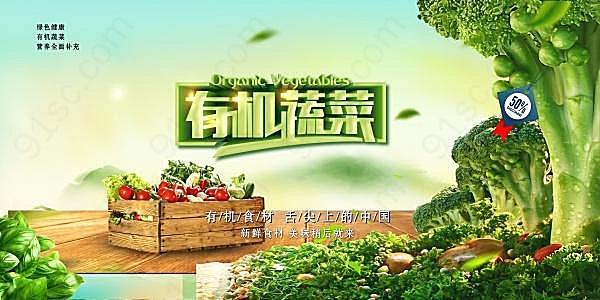 有机蔬菜设计广告海报