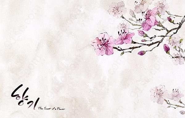 韩版手绘花朵背景图花纹边框