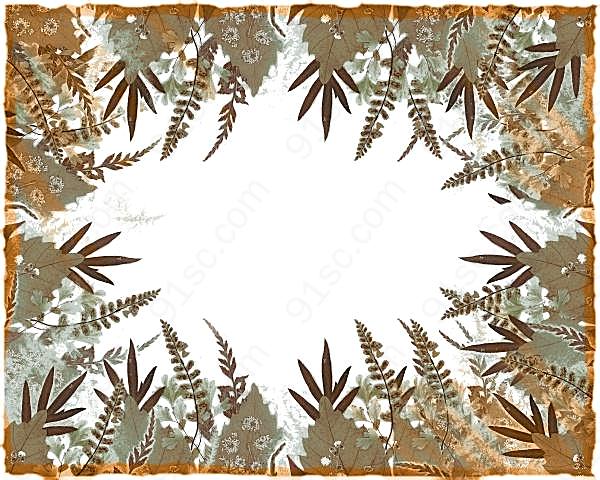 复古植物装饰边框psd素材创意概念