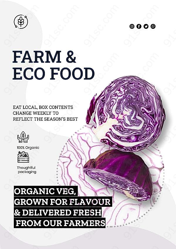 紫甘蓝蔬菜海报设计广告海报