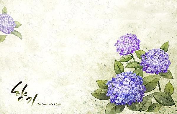 韩国花卉装饰背景图花纹边框