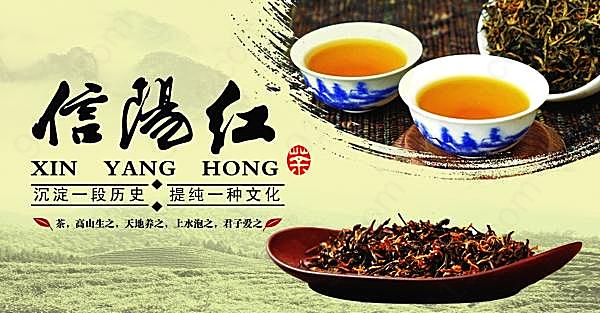 信阳红茶海报源文件广告海报