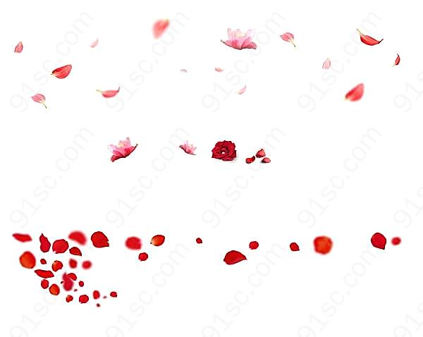 花瓣设计psd素材花纹边框