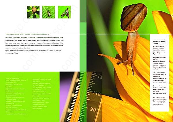 生物科学画册psd设计素材画册设计