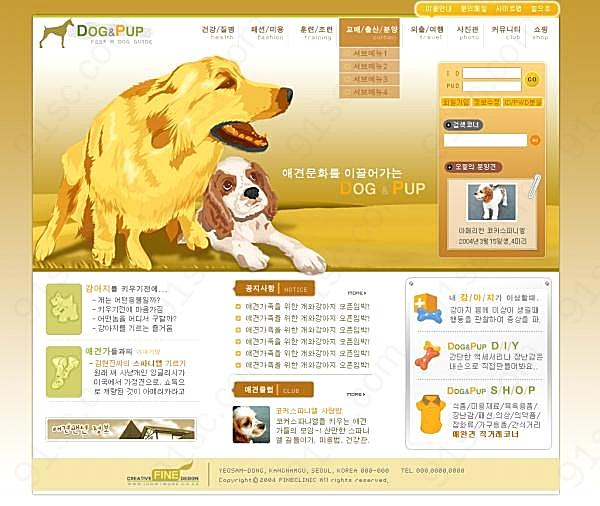 韩国宠物网站网页模板网页元素