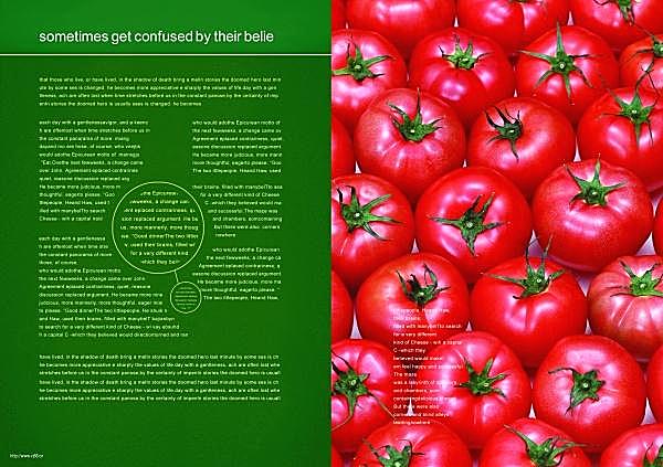 水果蔬菜画册psd设计模板画册设计