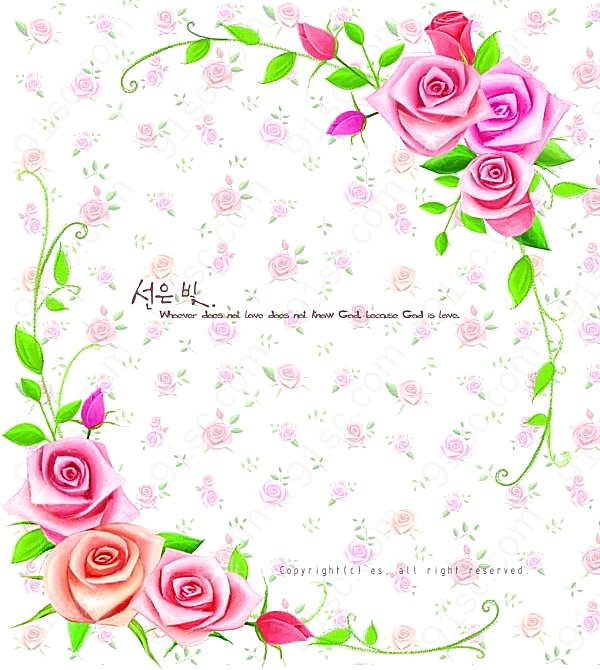 玫瑰花与藤蔓边框设计psd花纹边框