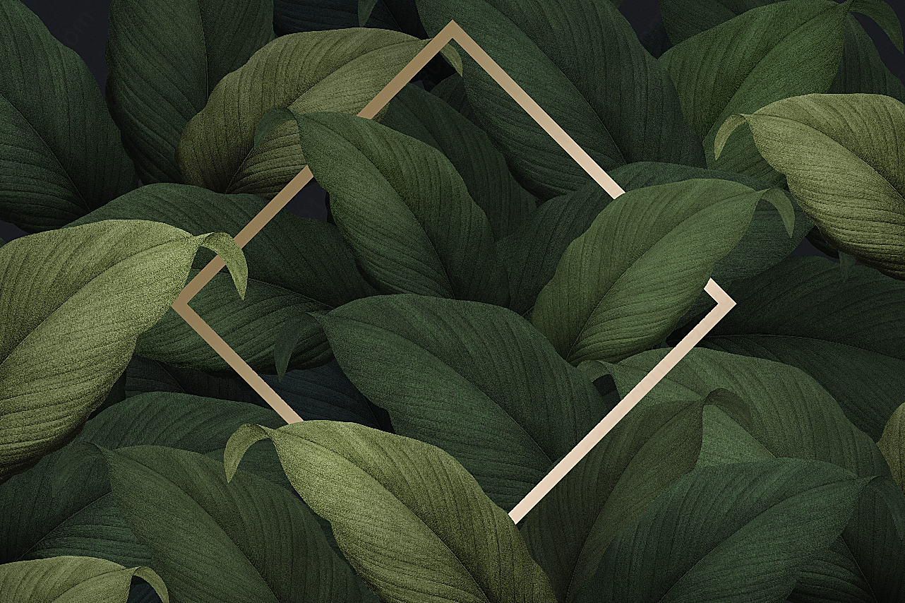 创意植物装饰边框素材psd花纹边框