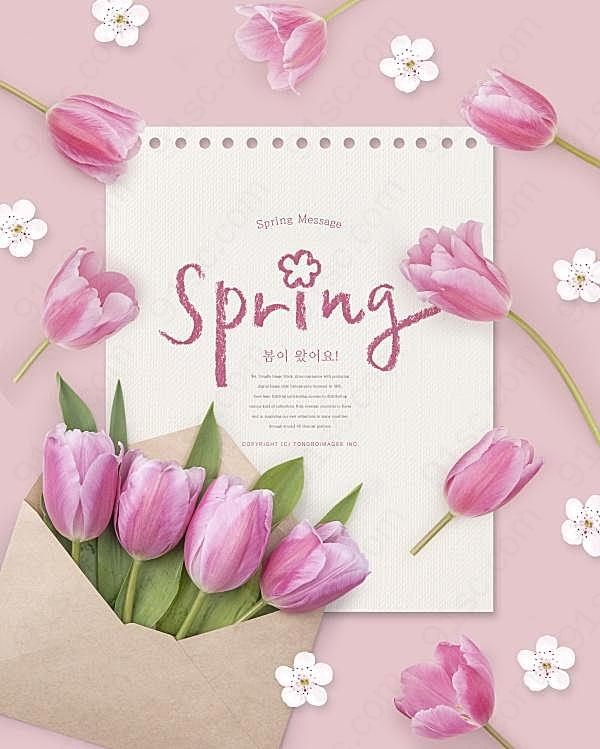 春季郁金香花卉海报广告海报