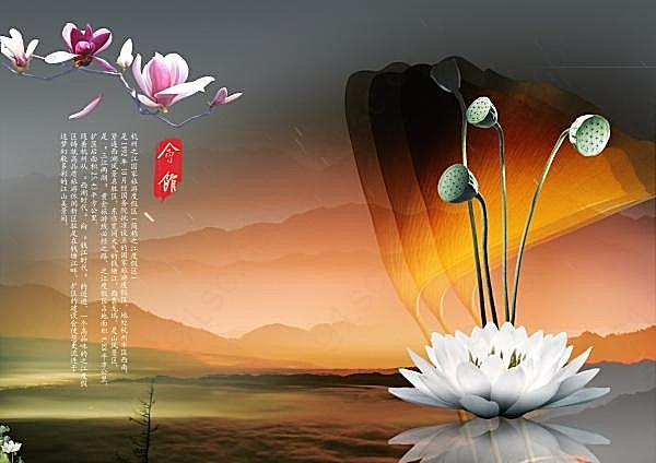 白莲文化展板psd免费素材广告海报