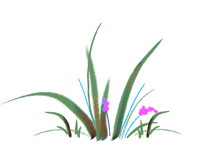 卡通手绘美丽的水草叶子png元素实物