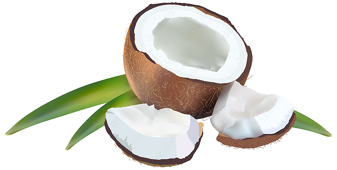 水果椰子png元素产品