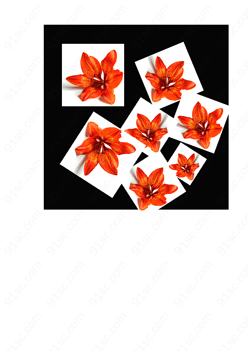花花朵圆形花花朵元素