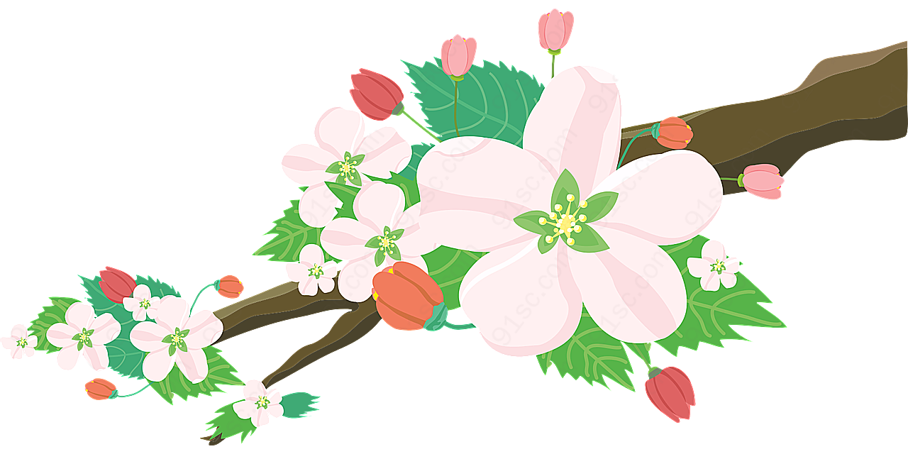 苹果花鲜花自然水果树春花园装饰图案