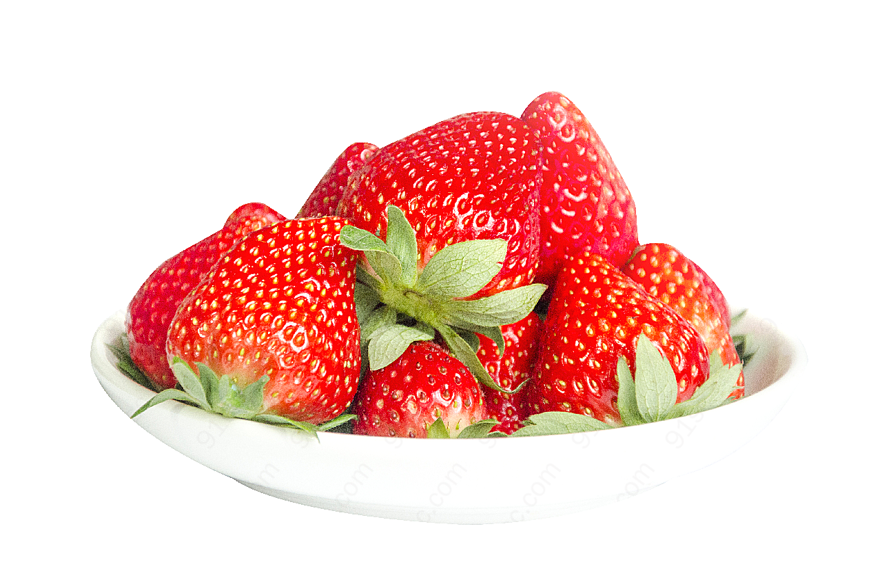 草莓水果植物