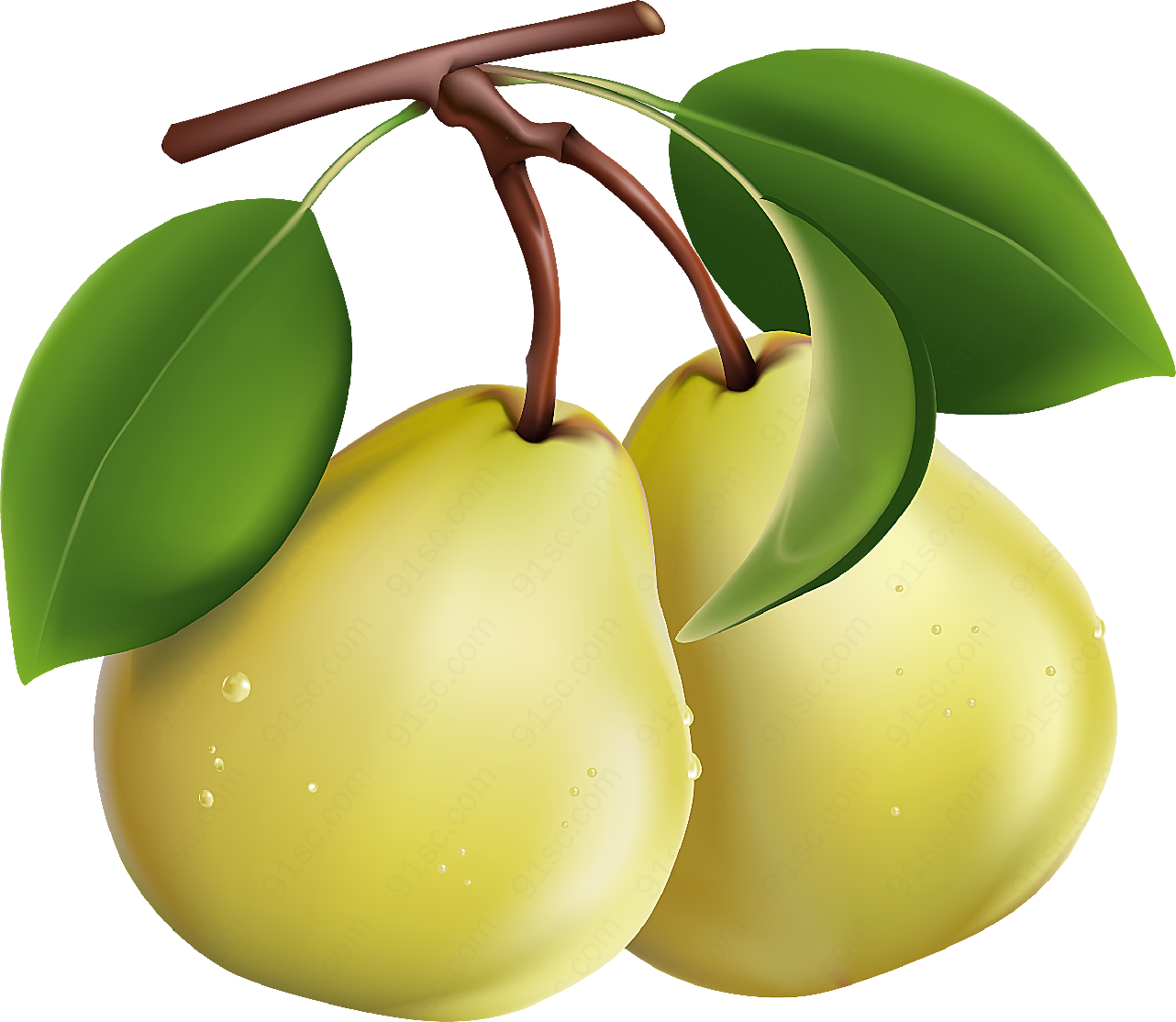水果鸭梨png元素设计静物生物