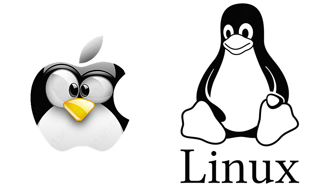 linux企鹅标志免抠png透明图层素材设计图标元素