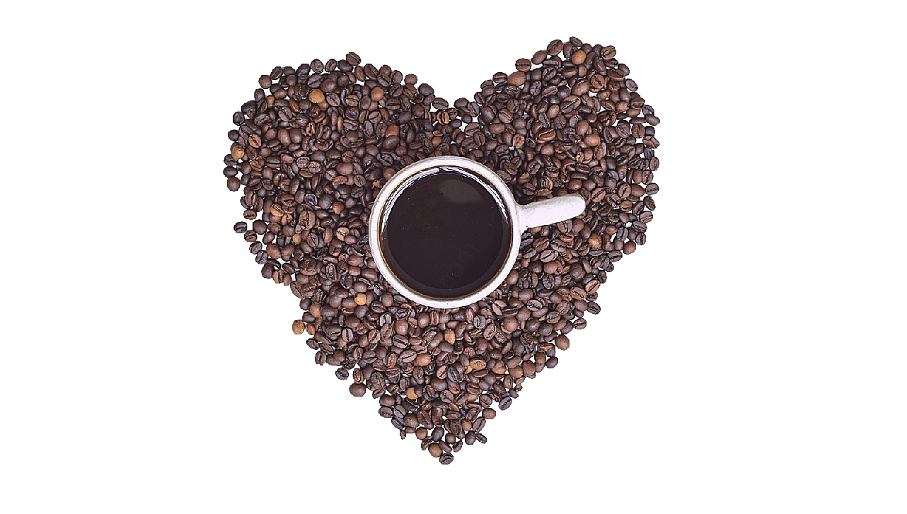 可可咖啡豆咖啡png元素实物生物