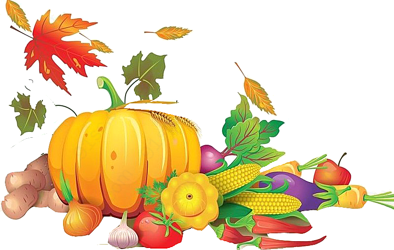 秋天丰收的蔬菜食物节日元素