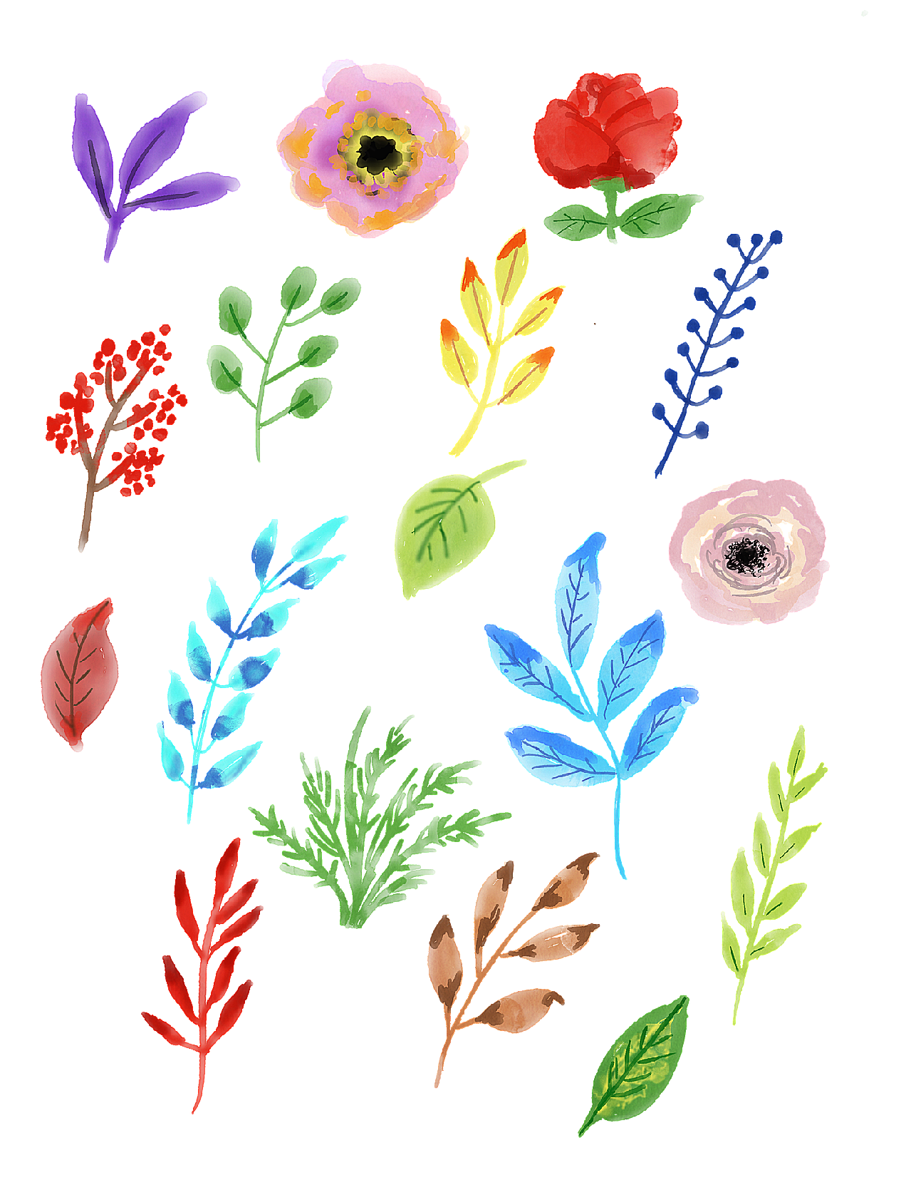 水彩的花 叶子 水彩花的 自然 春装饰图案