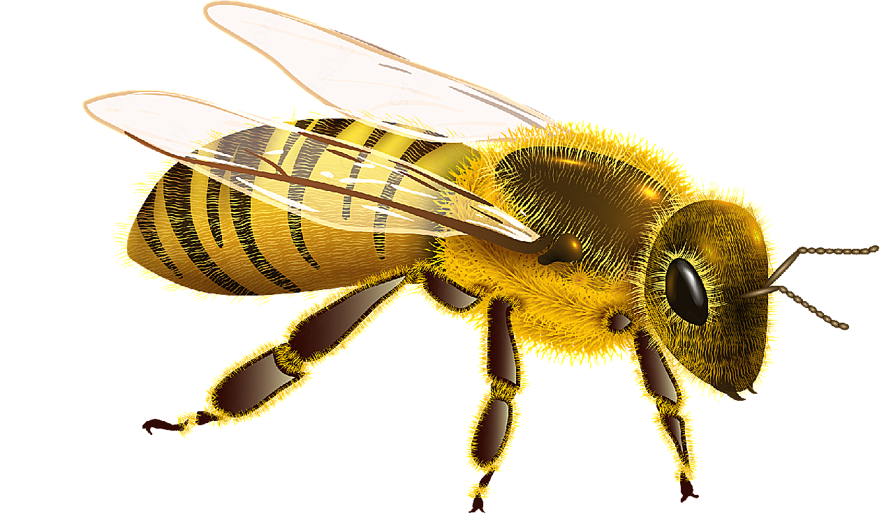 蜜蜂矢量素材元素
