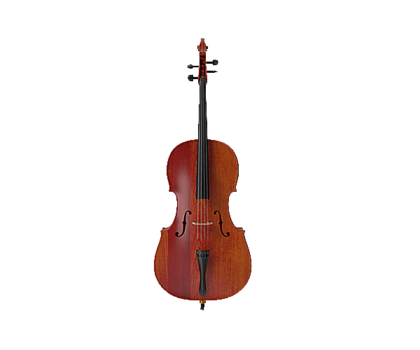 大提琴生物静物