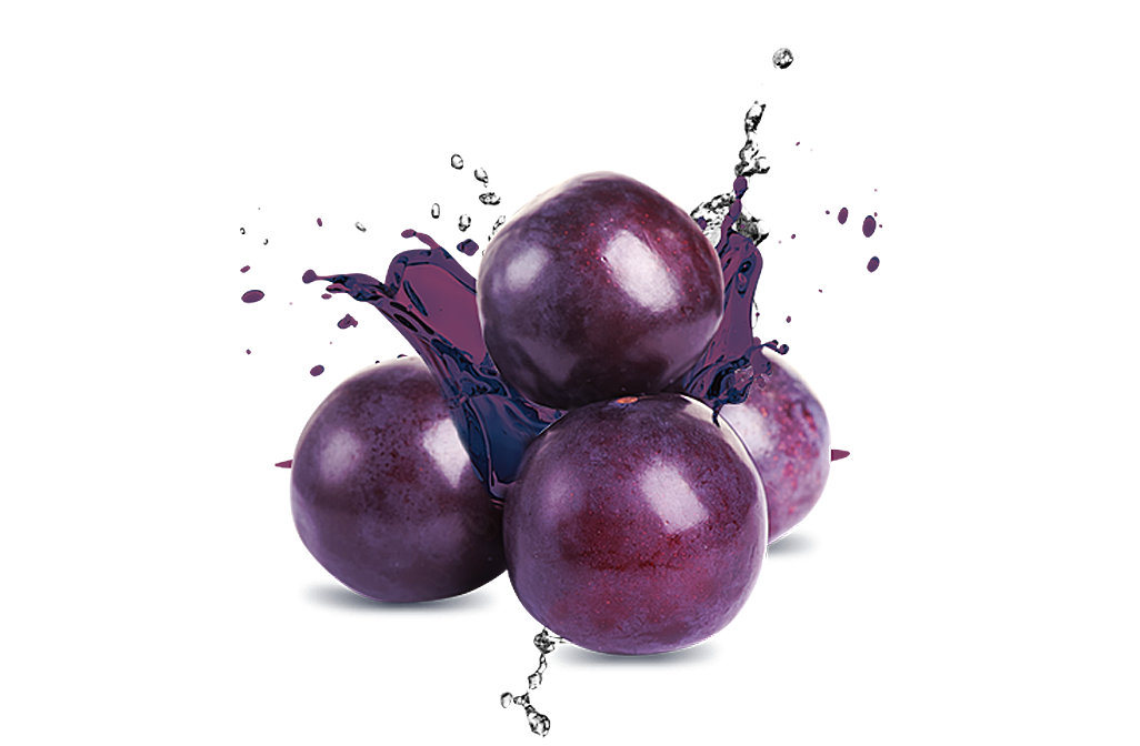 水果葡萄png元素产品