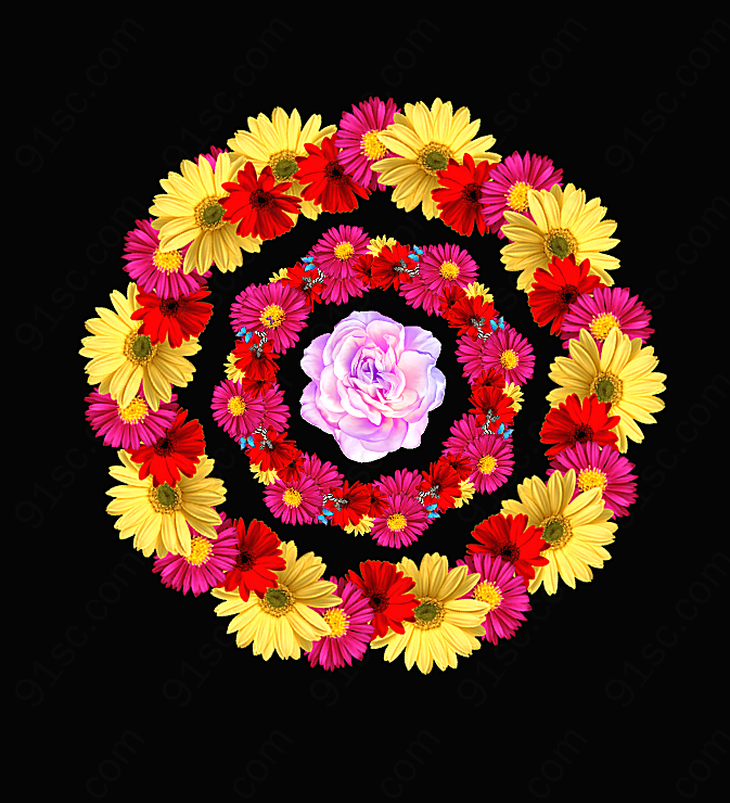 花朵花环艺术图片
