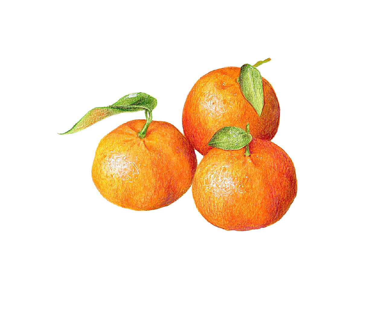 手绘水果卡通元素橘子手绘卡通
