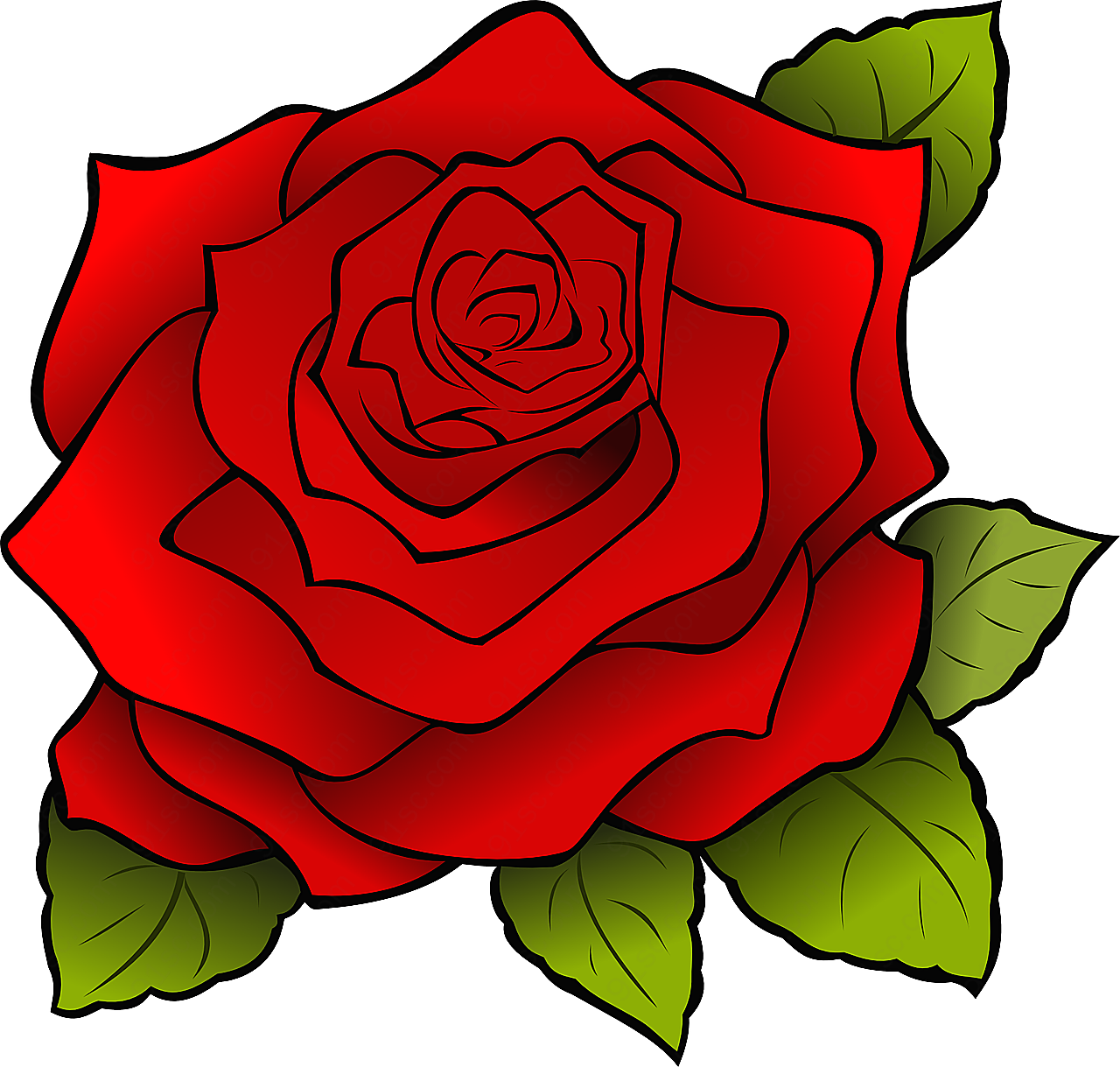 花玫瑰植物红玫瑰的花装饰图案