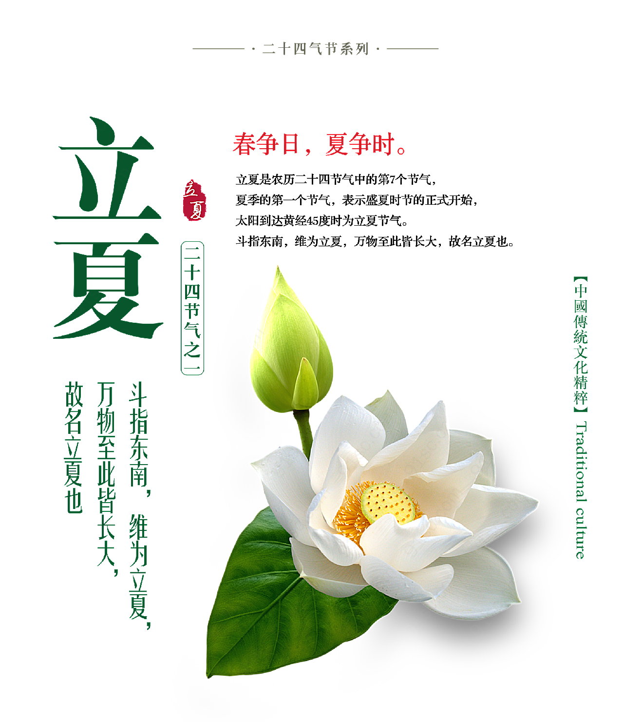 美丽荷花立夏体元素