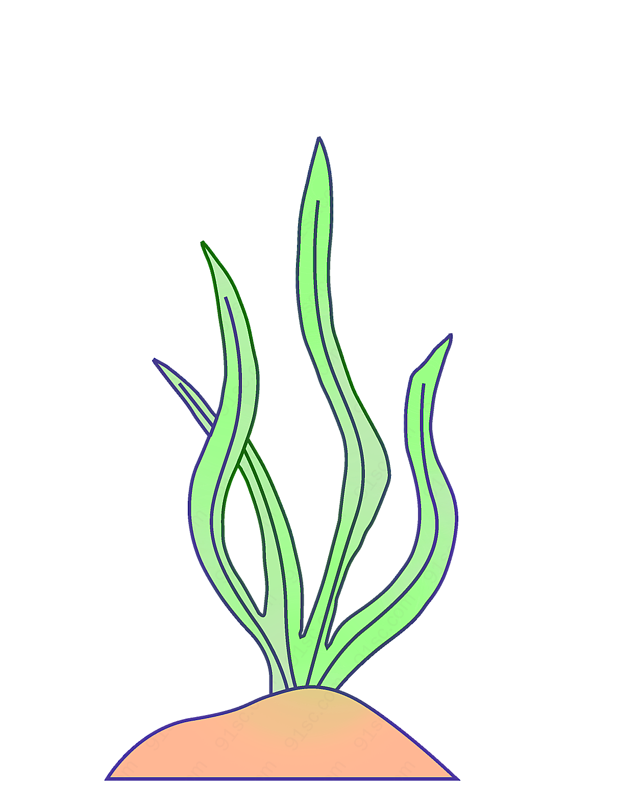 一组植物叶子卡通手绘水草png元素实物