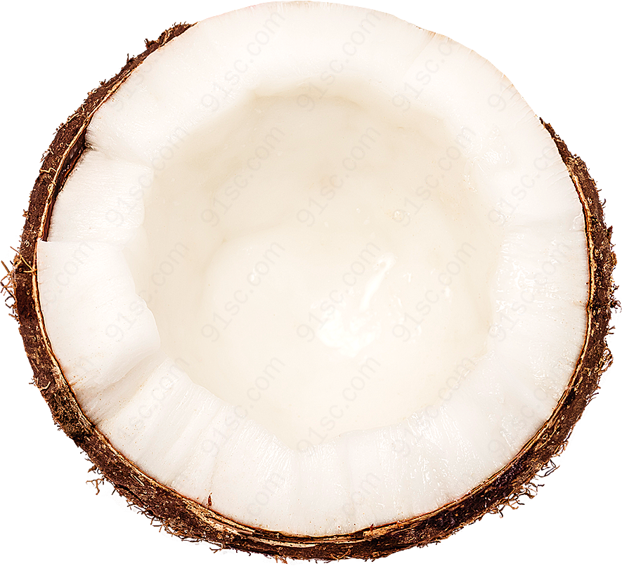 椰子产品元素