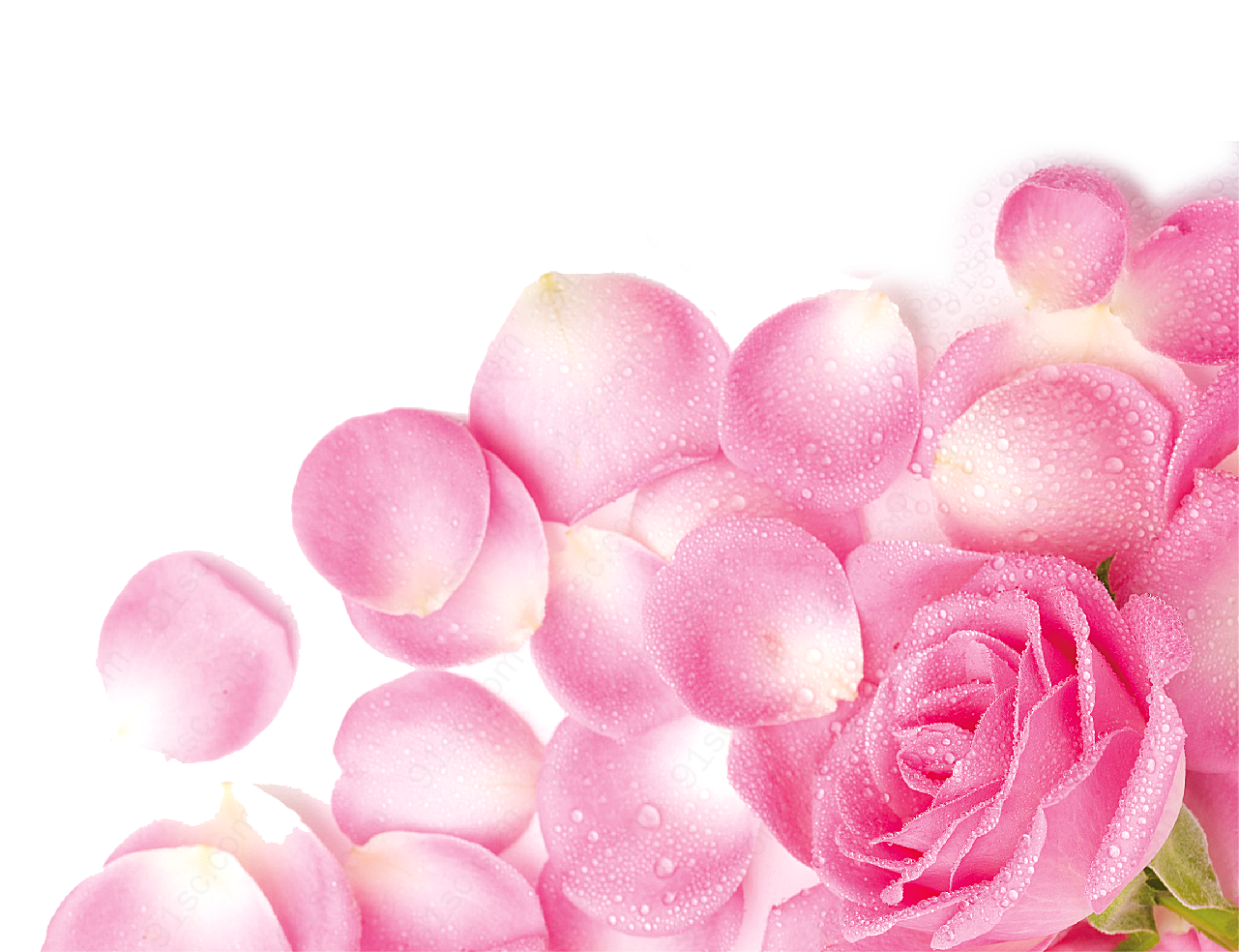 花素材