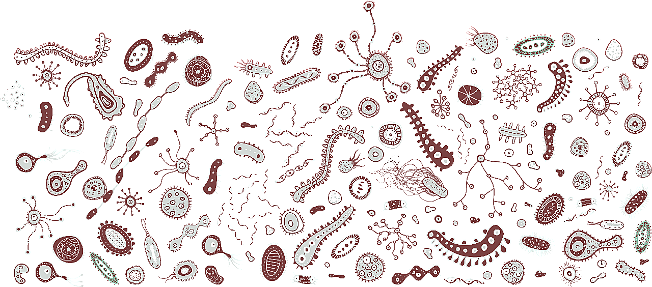 细菌手绘卡通