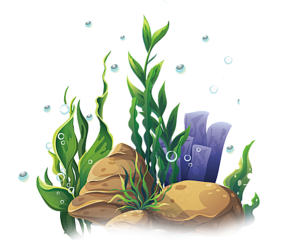 植物叶子卡通手绘漂亮的水草叶子素材实物生物