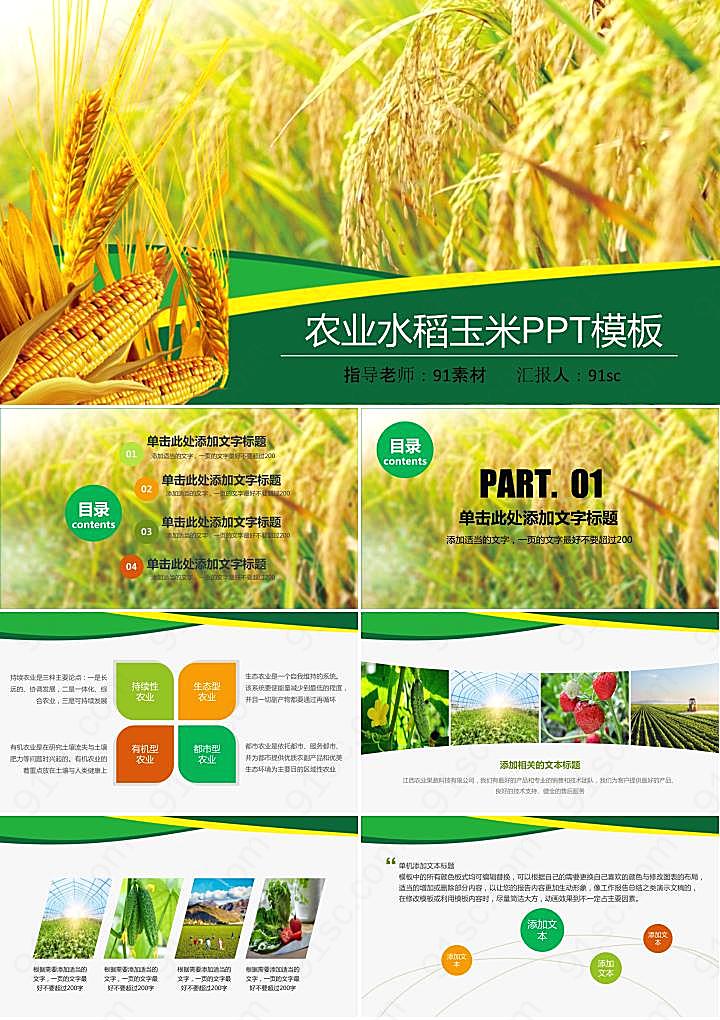 农业水稻小麦玉米背景的农产品PPT模板