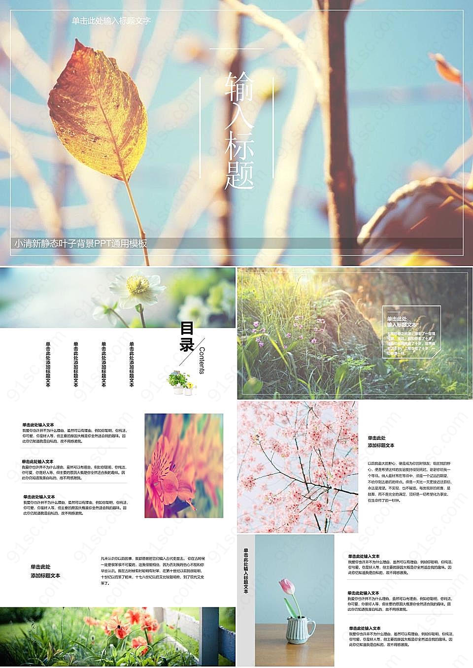 小清新植物背景的图片排版设计ppt模板