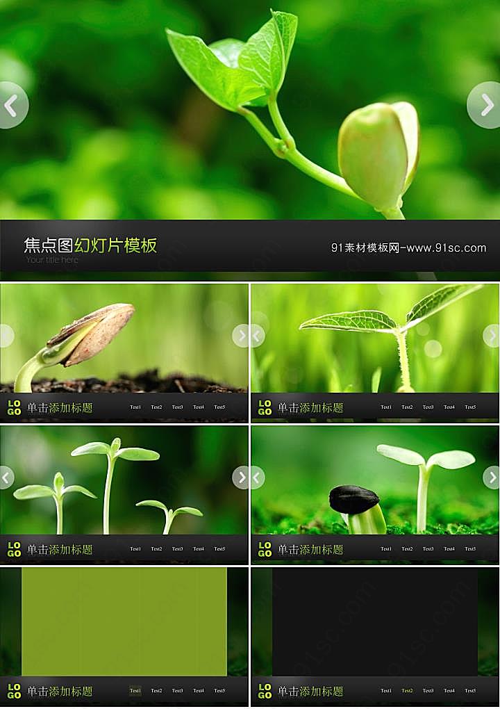 动态绿苗豆芽背景的植物幻灯片模板下载ppt模板