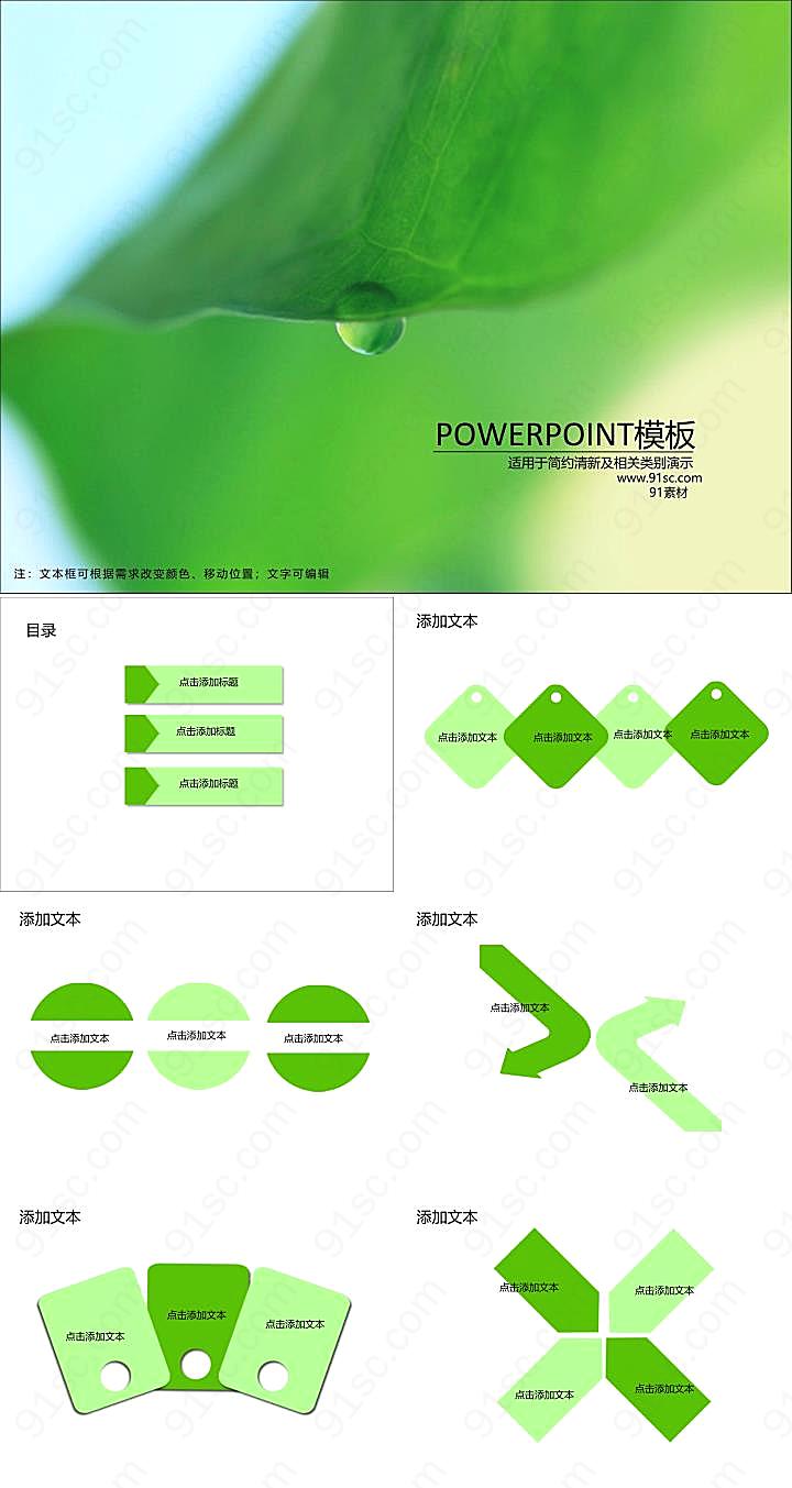 荷叶露珠ppt模板下载优秀
