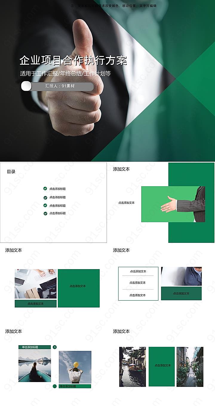 企业项目合作执行方案其他模板