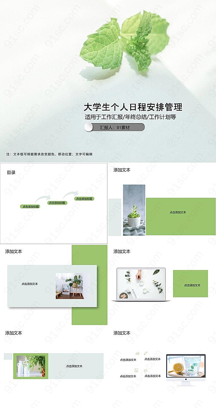 大学生个人日程安排管理PPT模板